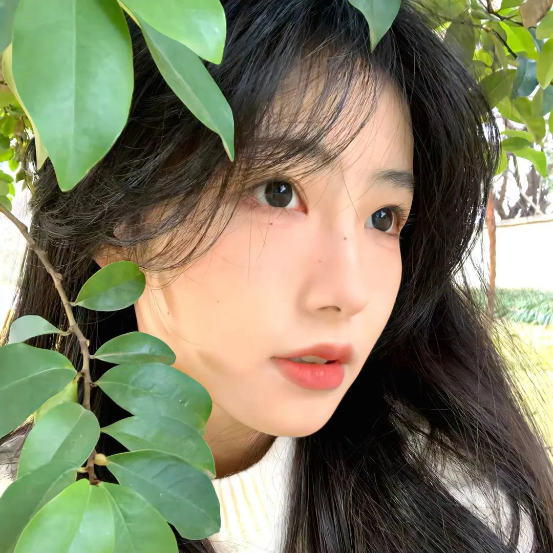 不只但总是